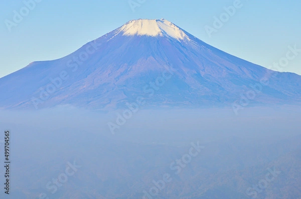 Fototapeta 丹沢の檜洞丸より望む初冬の富士山
