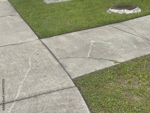 Fototapeta walkway in the park