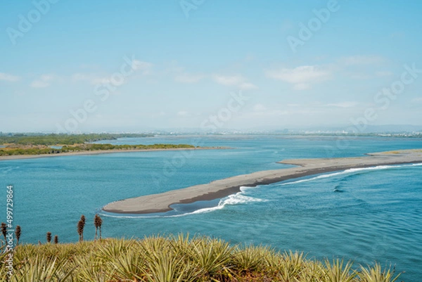 Fototapeta South side of the mouth of the bio bio river connecting with the pacific ocean with puya chilensis and vegetation.