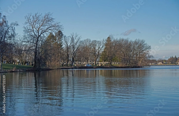 Fototapeta Lake Quannapowitt in Wakefield Massachusetts on a spring afternoon