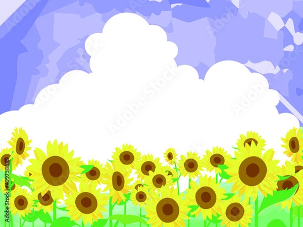 Obraz 向日葵と入道雲