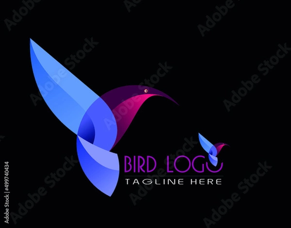 Obraz bird logo vector design