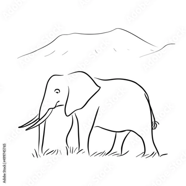 Fototapeta African Elephant Vector illustration