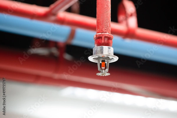 Obraz Fire sprinkler and red pipe.