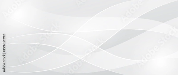 Obraz Abstract grey background poster with dynamic. technology network Vector illustration.