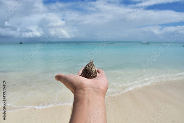 Fototapeta A hand holding a shell from a clam on the background of the blue Indian ocean and white sandy beach on the coast of the island of zanzibar in tanzania