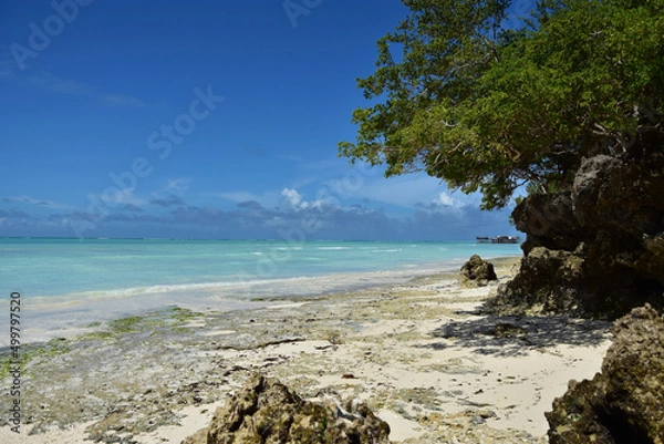 Fototapeta View of the blue waters and sandy bottom of the Indian Ocean at low tide on the coast on the island of Zanzibar in Tanzania