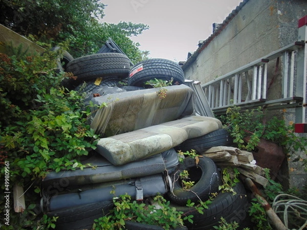 Obraz Scilly Isles (St Martins)