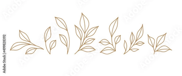 Fototapeta Set monochrome simple leaves botanical branches with stem and foliage vector illustration