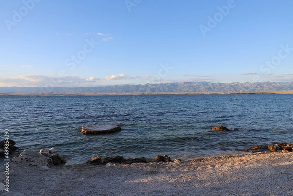 Obraz seagulls on the beach