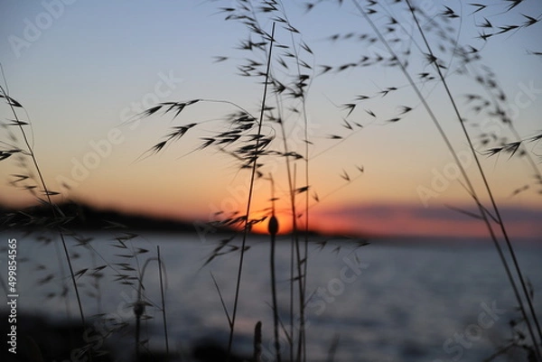 Obraz sunset on the lake