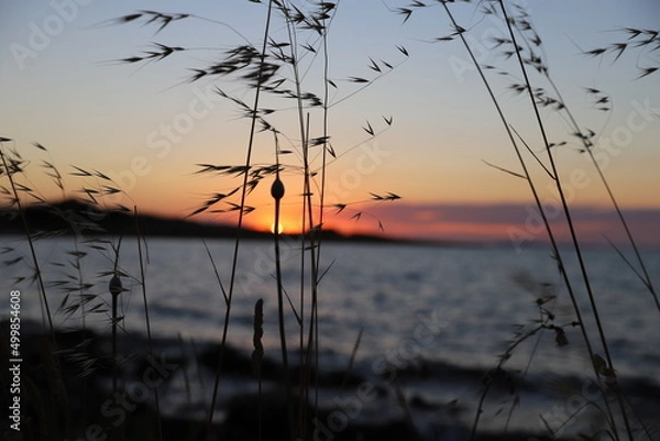 Obraz sunset on the lake