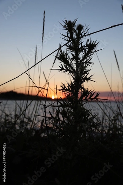 Obraz sunset on the lake