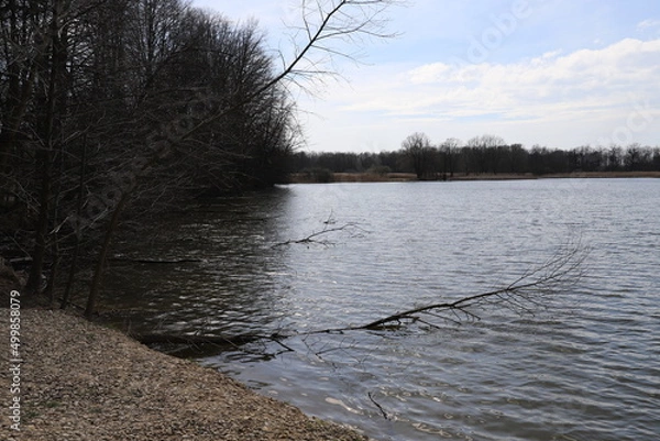 Obraz river in winter