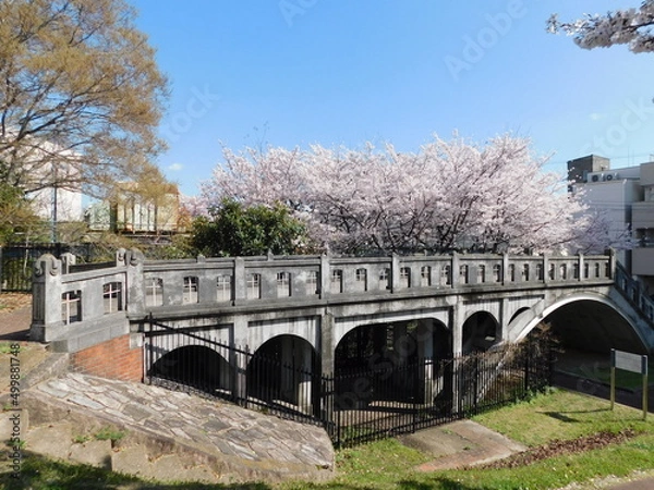 Fototapeta 淀川河川公園長柄河畔地区の眼鏡橋と桜(大阪市北区で2022年4月撮影)