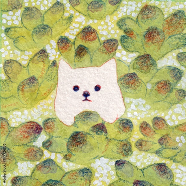 Obraz 多肉植物と白犬