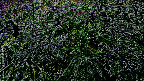 Fototapeta grass background