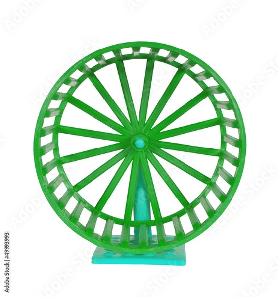 Obraz Wheel for rodents