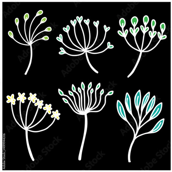 Obraz vector leaf natural green plants