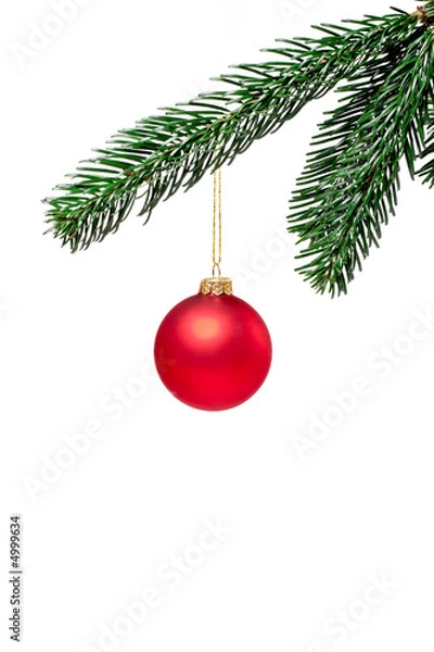 Obraz Rote Weihnachtskugel am Zweig