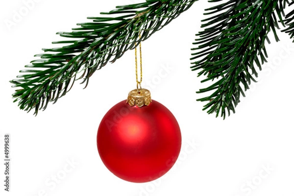 Obraz Rote Weihnachtskugel am Zweig 