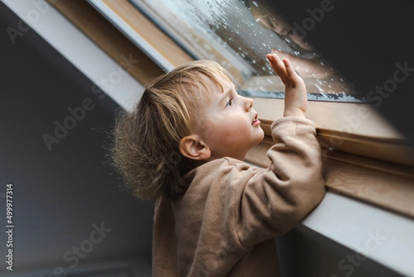 Obraz Little preschool boy staying home in bad weather and looking  with interest through window on raindrops and hail, idoors.