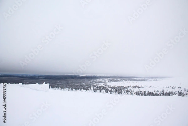 Obraz Snowscape