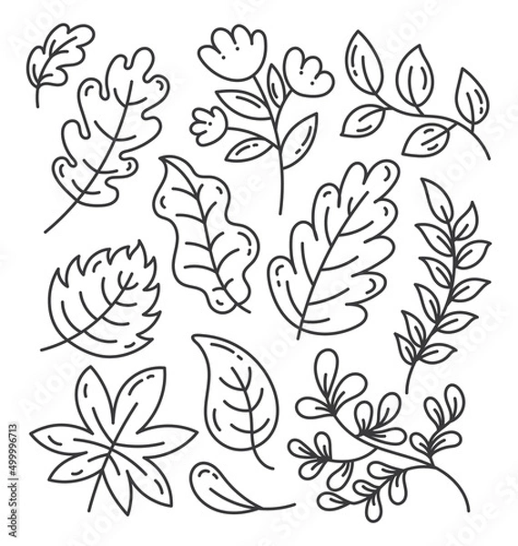 Fototapeta Set of black and white autumn, spring and summer doodle leaves. Elements isolated on white background.
