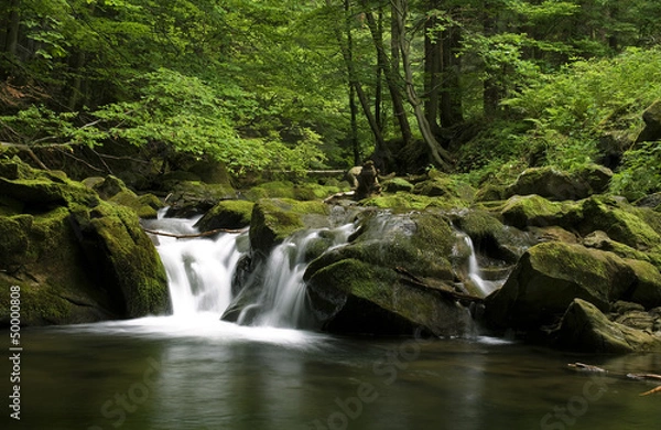 Obraz Potok kłopotnica