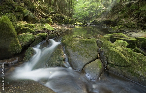 Obraz Potok Kłopotnica