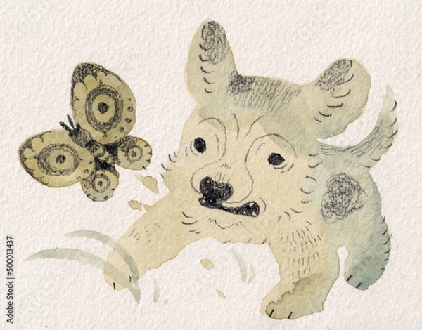 Obraz 目玉模様の蛾に驚く犬