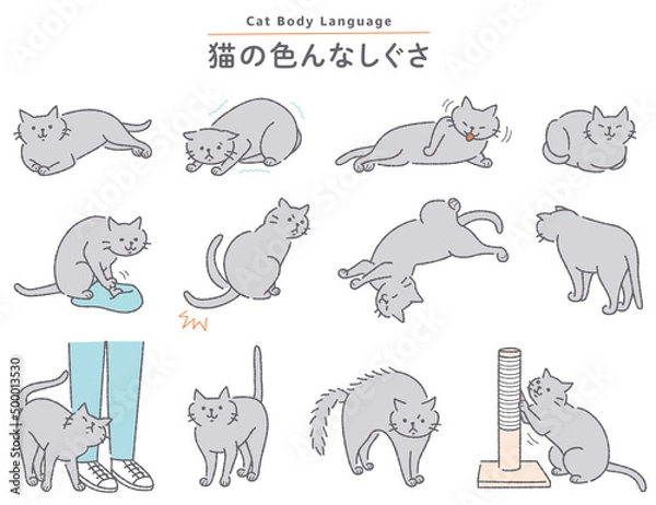 Obraz 猫の色んなしぐさイラストセット