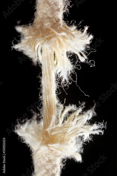 Fototapeta straining rope.