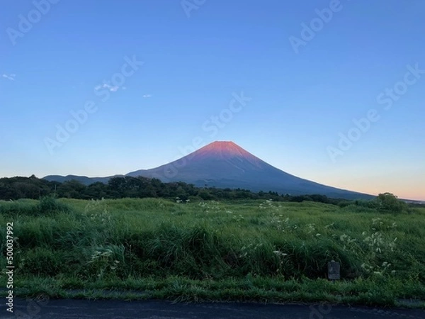 Fototapeta 赤富士