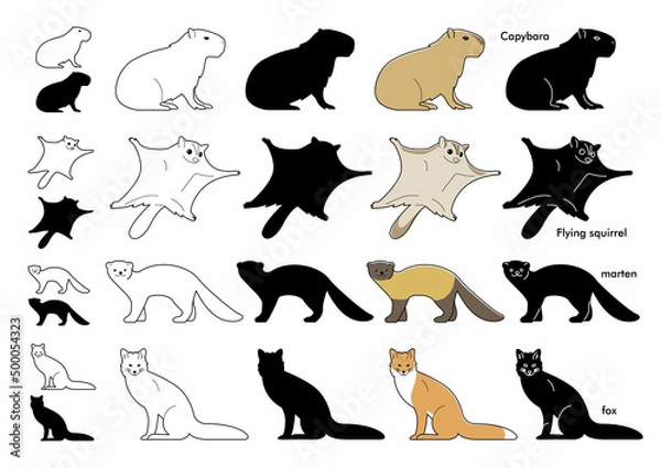 Obraz silhouettes of animals