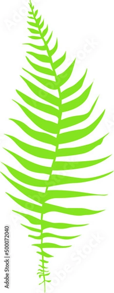 Obraz Single vector tropical fern leaf