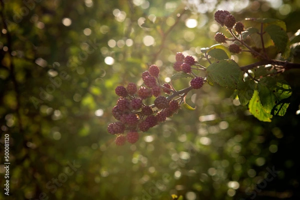 Obraz Belezas Portuguesas