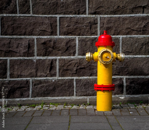 Fototapeta fire hydrant
