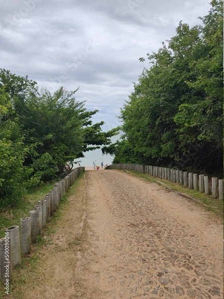 Obraz path in the park