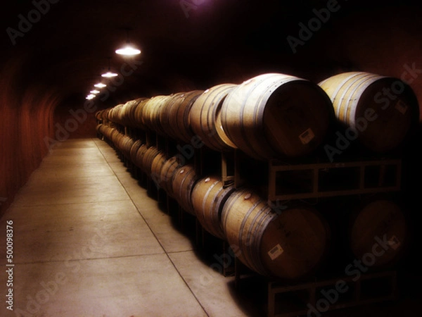 Obraz Wine Casks Barrels in Cellar