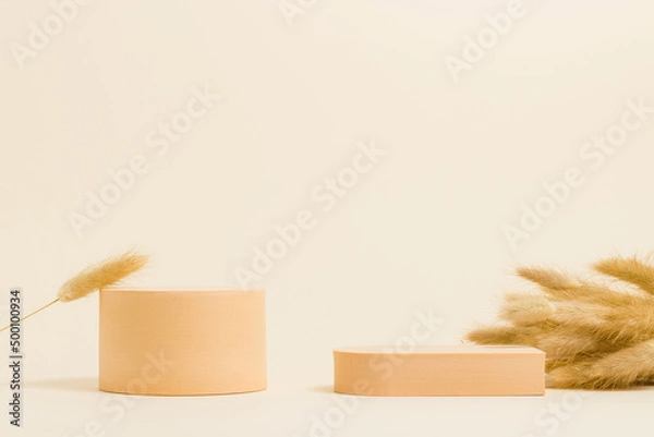 Fototapeta Geometric podium for product presentation with dry grass, abstract minimal background for product display, pastel color