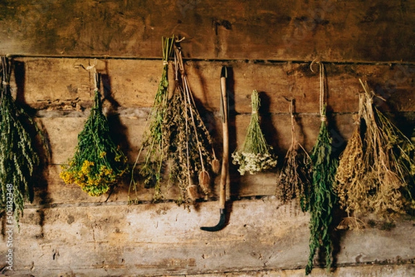 Obraz Suszone zioła