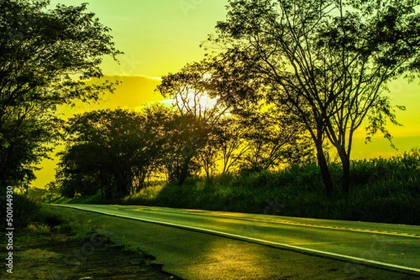 Obraz A luz sobre a longa estrada
