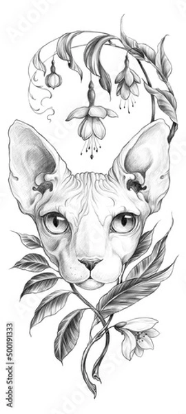 Obraz Sphinx cat illustration with fuchsia flowers and citrus blossom made in graphic tattoo art nouveau style. Vertical design of illustration in pencil sketch technic.