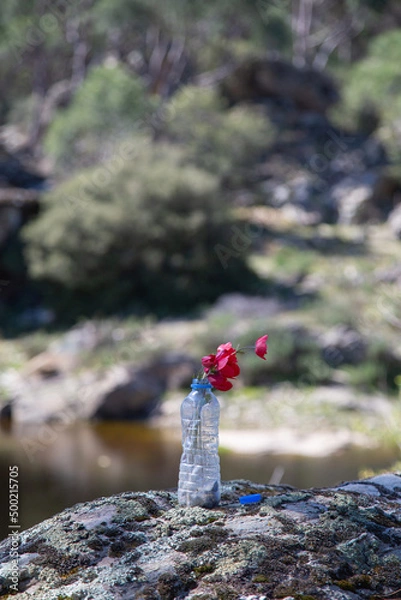 Fototapeta Rubbish in nature is taking over nature