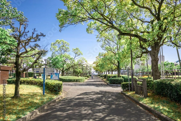 Fototapeta あおぞら