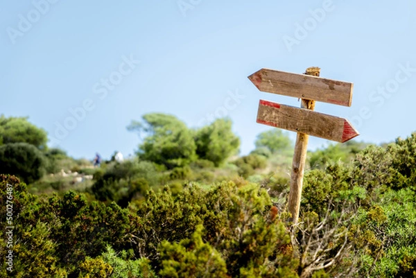 Fototapeta Wooden signs on a pole pointing in opposite directions. Background filled with mediterranean vegetation.