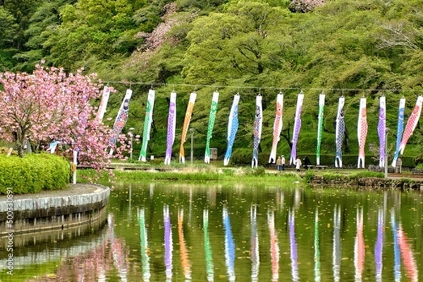 Obraz pond with flowers