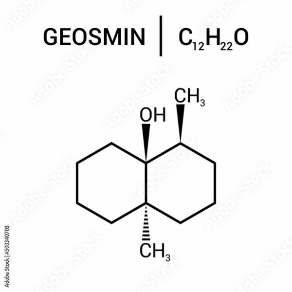 Fototapeta chemical structure of Geosmin (C12H22O)