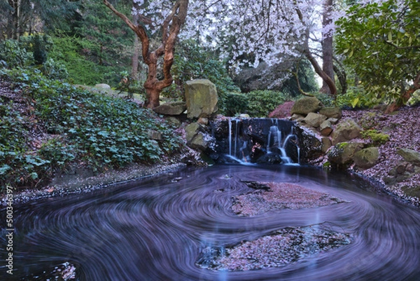 Fototapeta Spring pond